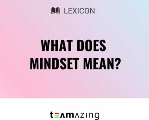 What does Mindset mean?