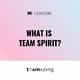 What is team spirit?