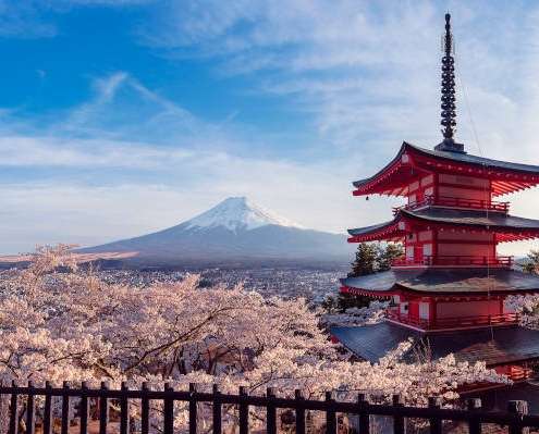 japanese landscape as ikigai symbol