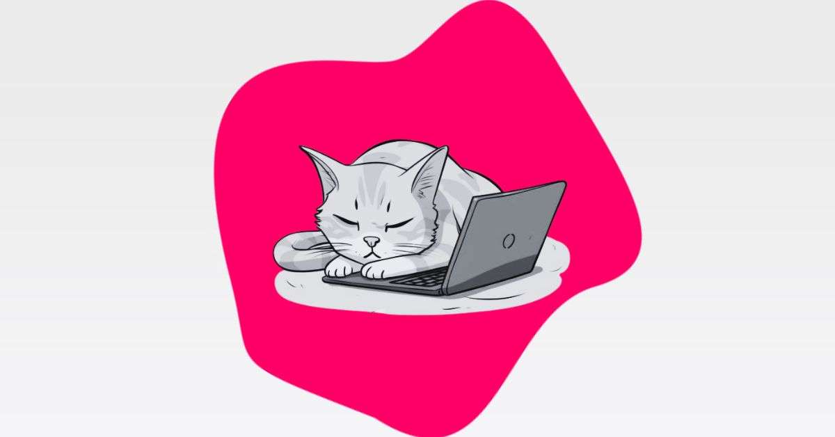 Cat sleeping on laptop as a symbol for a virtual afterwork event