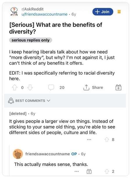 screenshot of a reddit thread about diversity