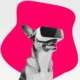 Dog wearing a VR headset as a symbol for online meetings