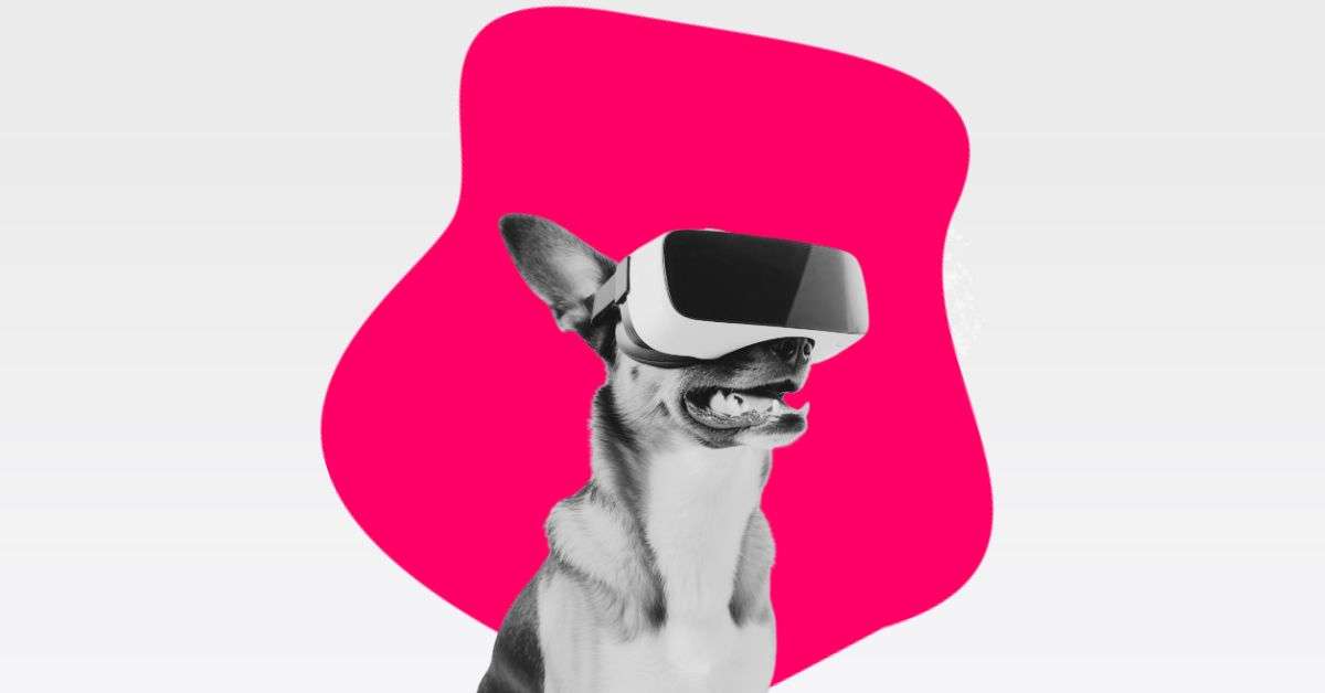 Online Meeting Artikelbild Dog wearing a VR headset as a symbol for online meetings